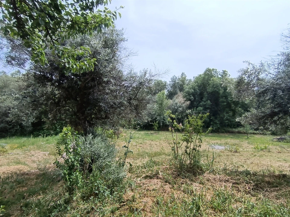 Terreno Agricola ou Rústico para Venda em Medelim Foto 4