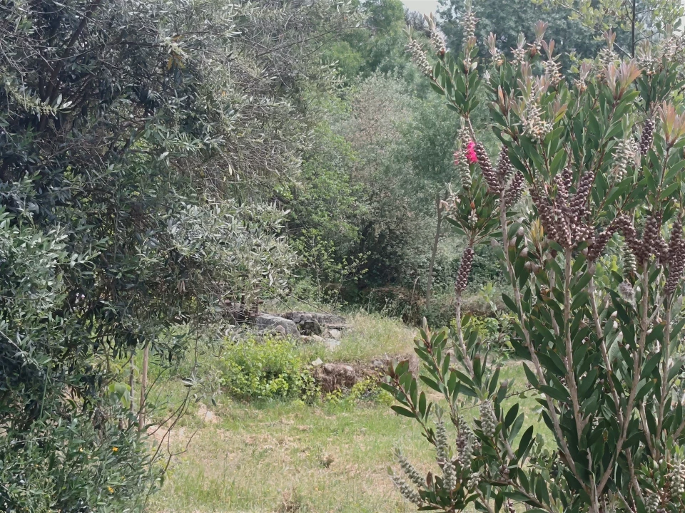 Terreno Agricola ou Rústico para Venda em Medelim Foto 7