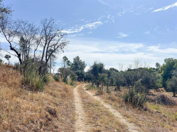 Terreno Agricola ou Rústico para Venda em Medelim Foto 39