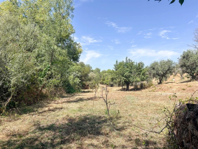 Terreno Agricola ou Rústico para Venda em Medelim Foto 79