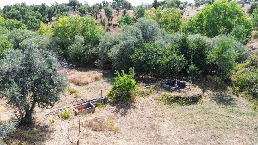 Terreno Agricola ou Rústico para Venda em Medelim Foto 26