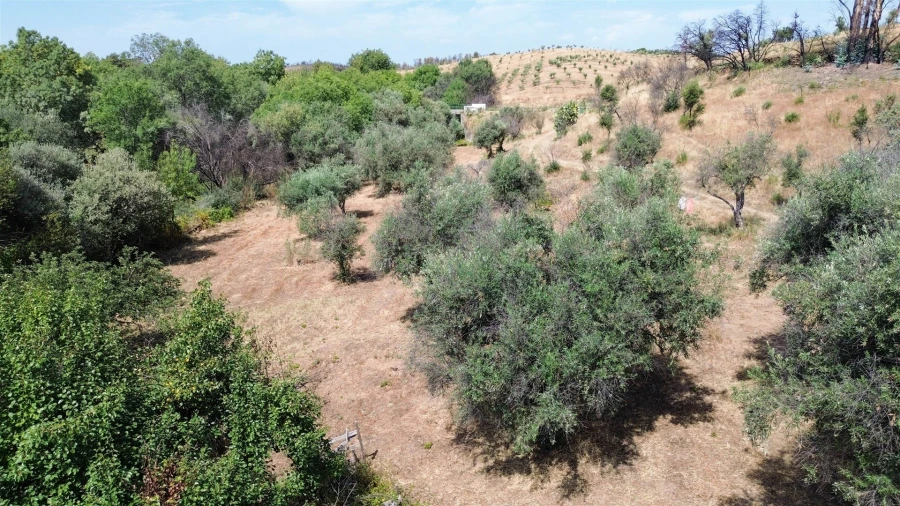 Terreno Agricola ou Rústico para Venda em Medelim Foto 29
