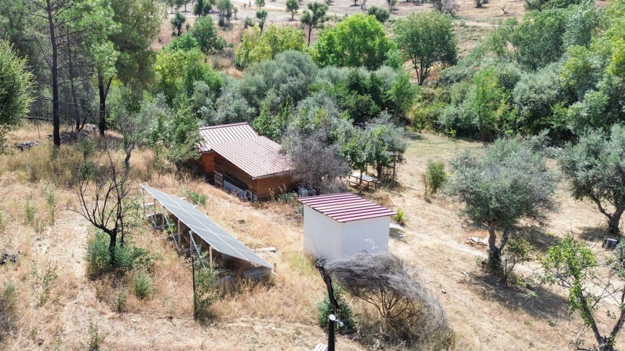 Terreno Agricola ou Rústico para Venda em Medelim Foto 24