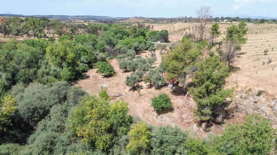 Terreno Agricola ou Rústico para Venda em Medelim Foto 21