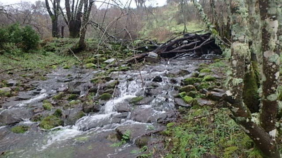 Terreno Agricola ou Rústico para Venda em Medelim Foto 9