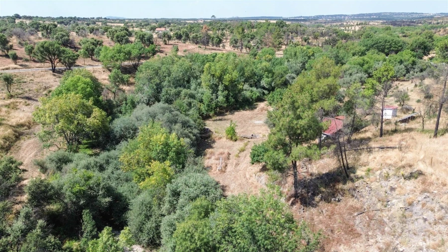Terreno Agricola ou Rústico para Venda em Medelim Foto 20