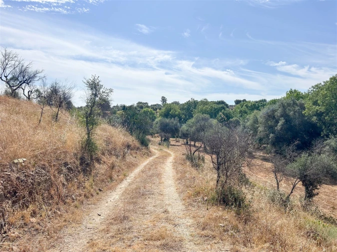 Terreno Agricola ou Rústico para Venda em Medelim Foto 38