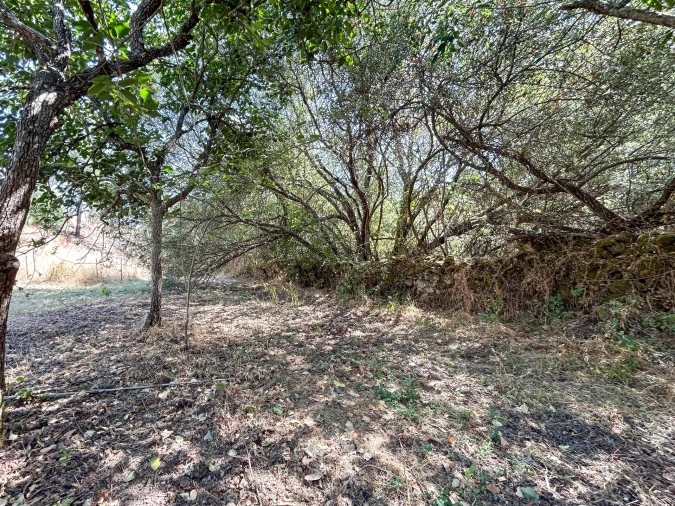 Terreno Agricola ou Rústico para Venda em Medelim Foto 77