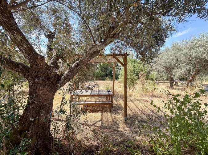 Terreno Agricola ou Rústico para Venda em Medelim Foto 43