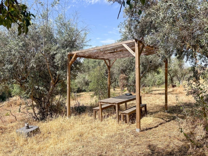 Terreno Agricola ou Rústico para Venda em Medelim Foto 68