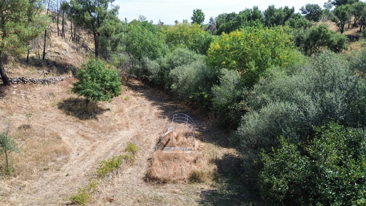 Terreno Agricola ou Rústico para Venda em Medelim Foto 19