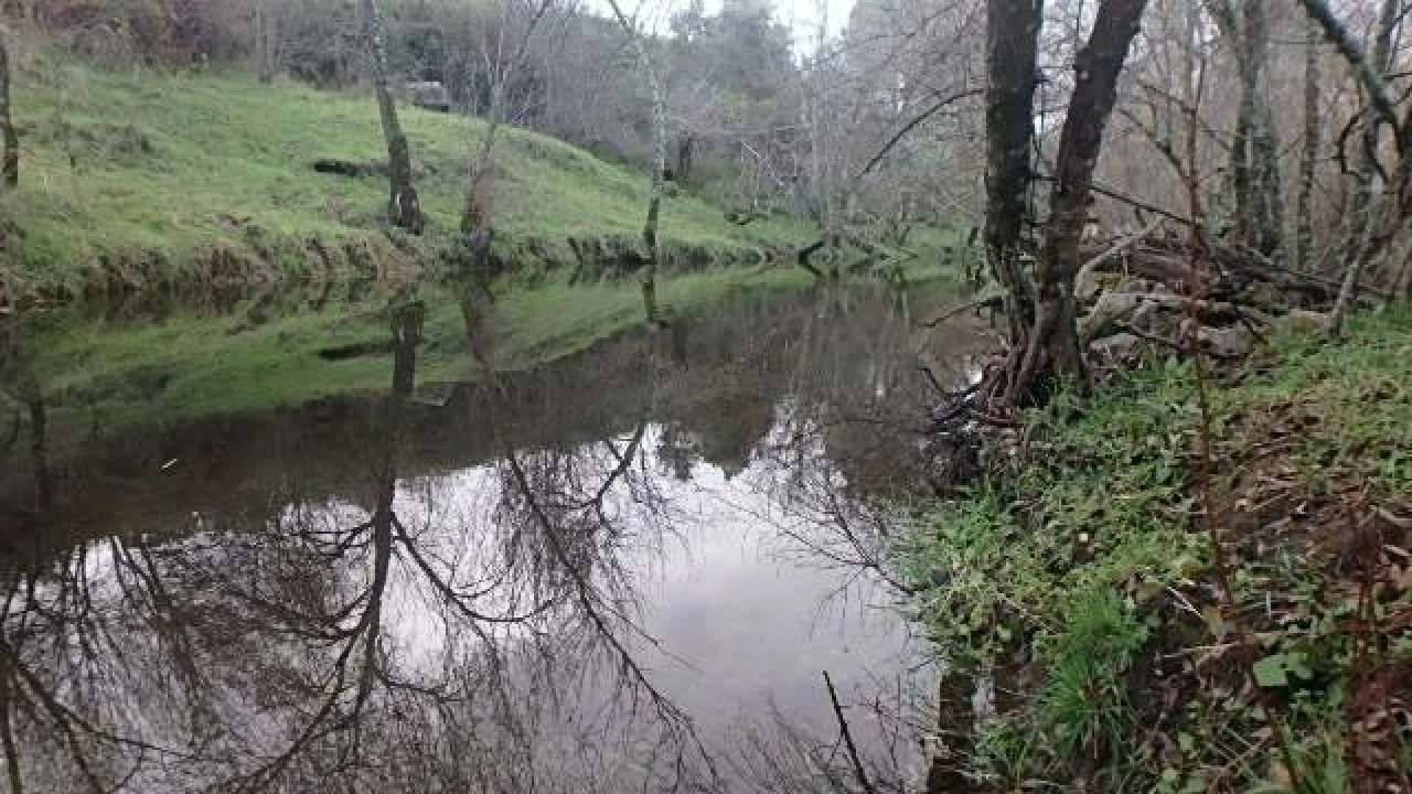 Terreno Agricola ou Rústico para Venda em Medelim Foto 11