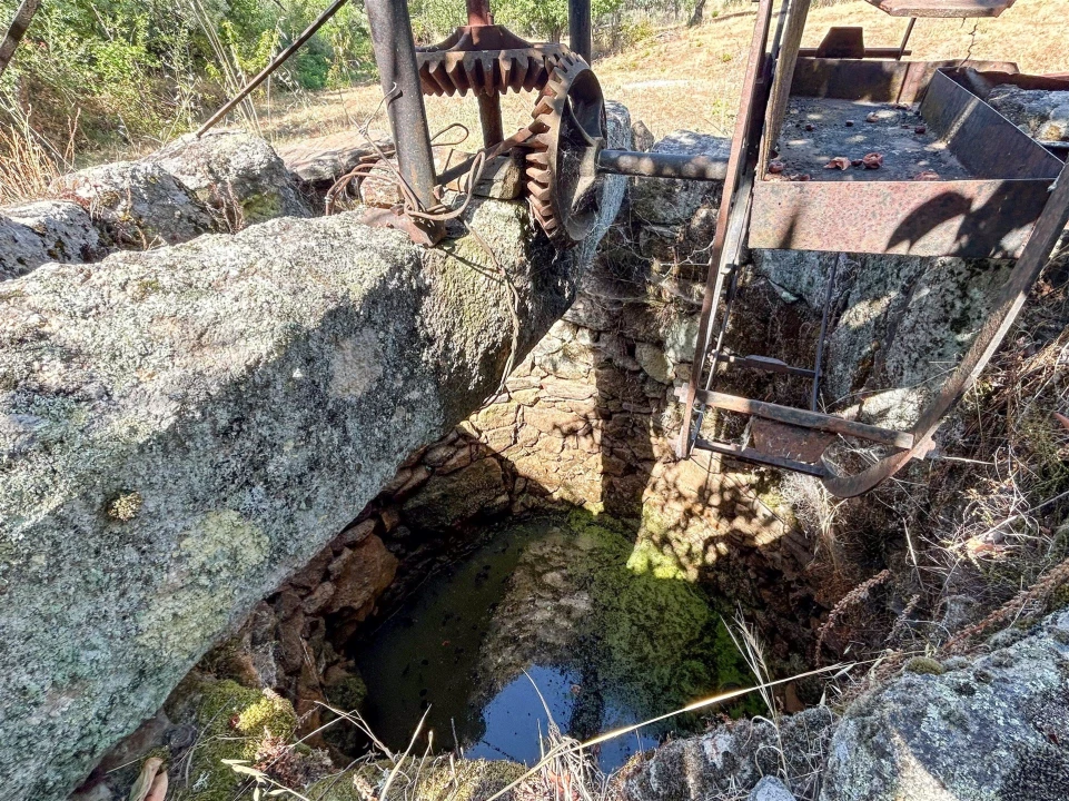 Terreno Agricola ou Rústico para Venda em Medelim Foto 75