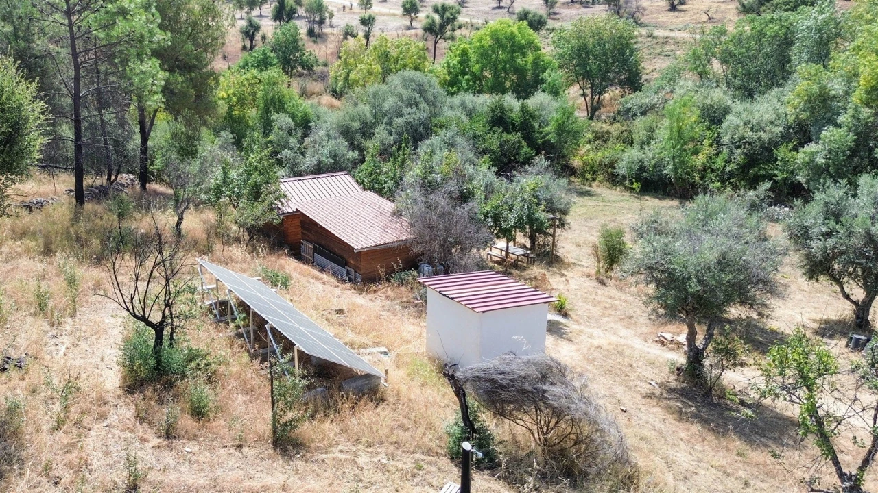Terreno Agricola ou Rústico para Venda em Medelim Foto 24