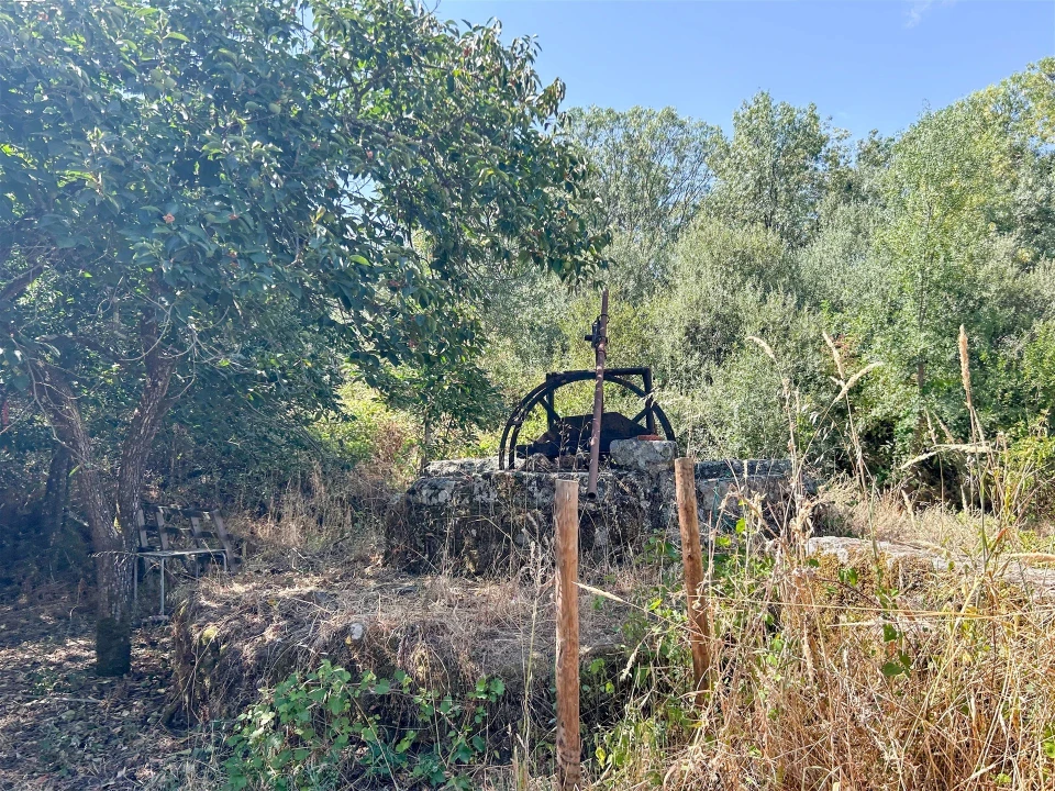 Terreno Agricola ou Rústico para Venda em Medelim Foto 74