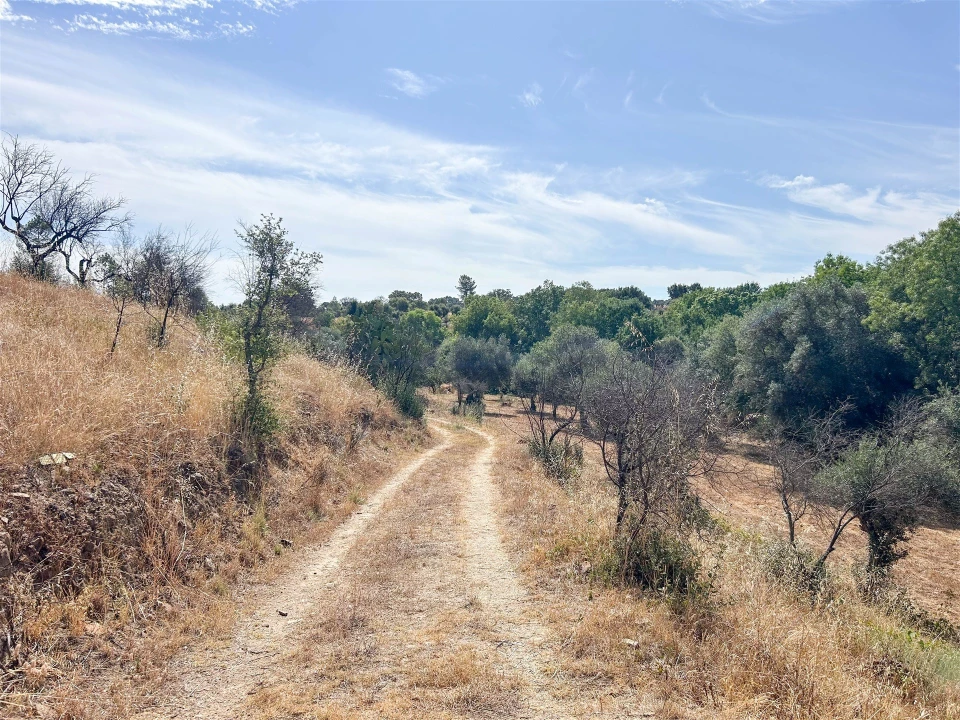 Terreno Agricola ou Rústico para Venda em Medelim Foto 38