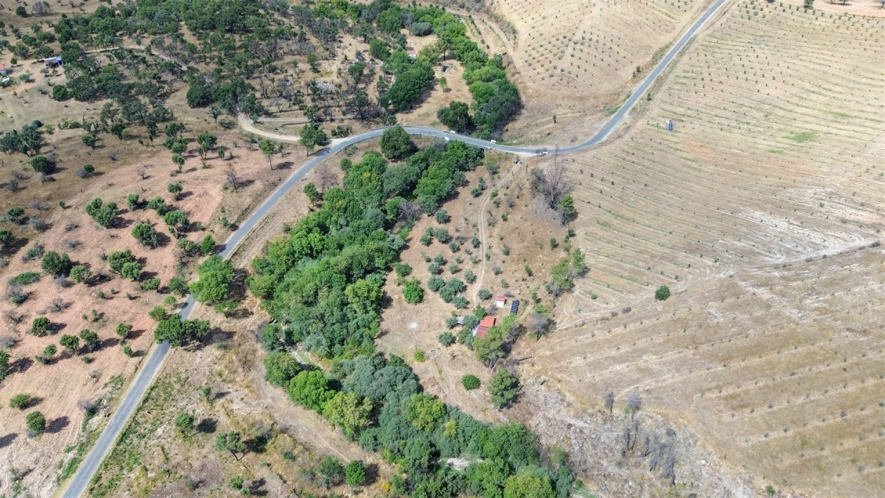 Terreno Agricola ou Rústico para Venda em Medelim Foto 34