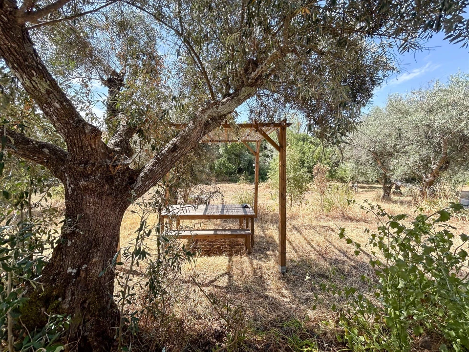 Terreno Agricola ou Rústico para Venda em Medelim Foto 43