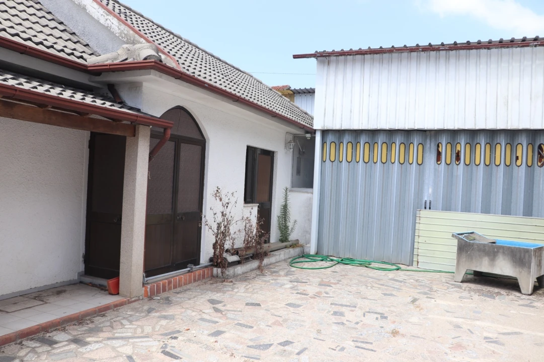 Negócio para Venda em Lustosa e Barrosas (Santo Estêvão) Foto 7