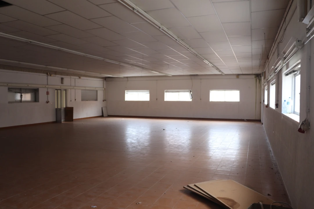 Negócio para Venda em Lustosa e Barrosas (Santo Estêvão) Foto 17