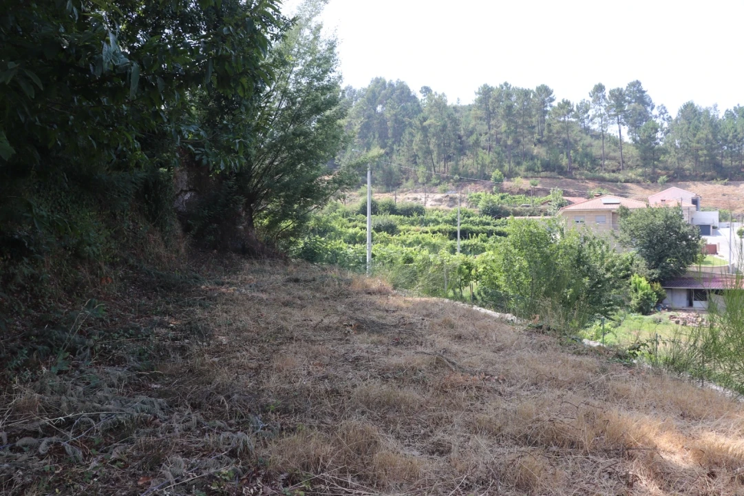 Terreno para Venda em Santa Eulália Foto 7