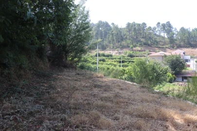 Terreno para Venda em Santa Eulália