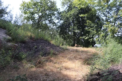 Terreno para Venda em Santa Eulália
