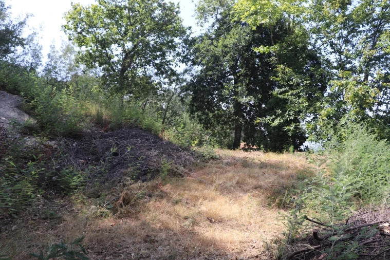 Terreno para Venda em Santa Eulália Foto 14