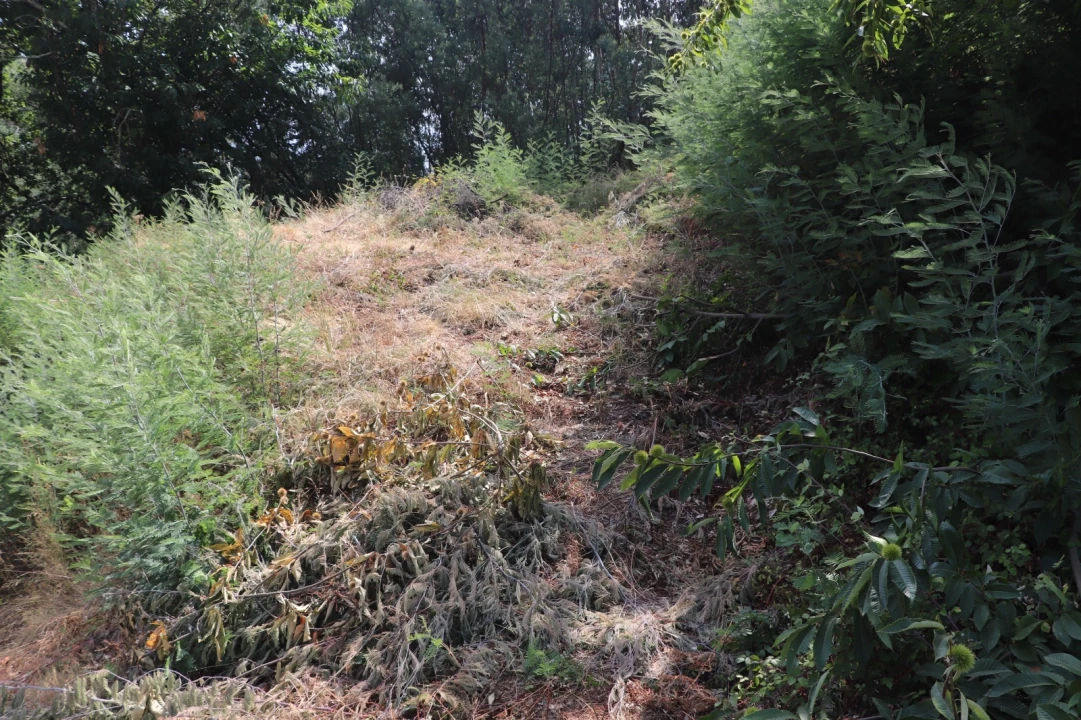 Terreno para Venda em Santa Eulália Foto 11