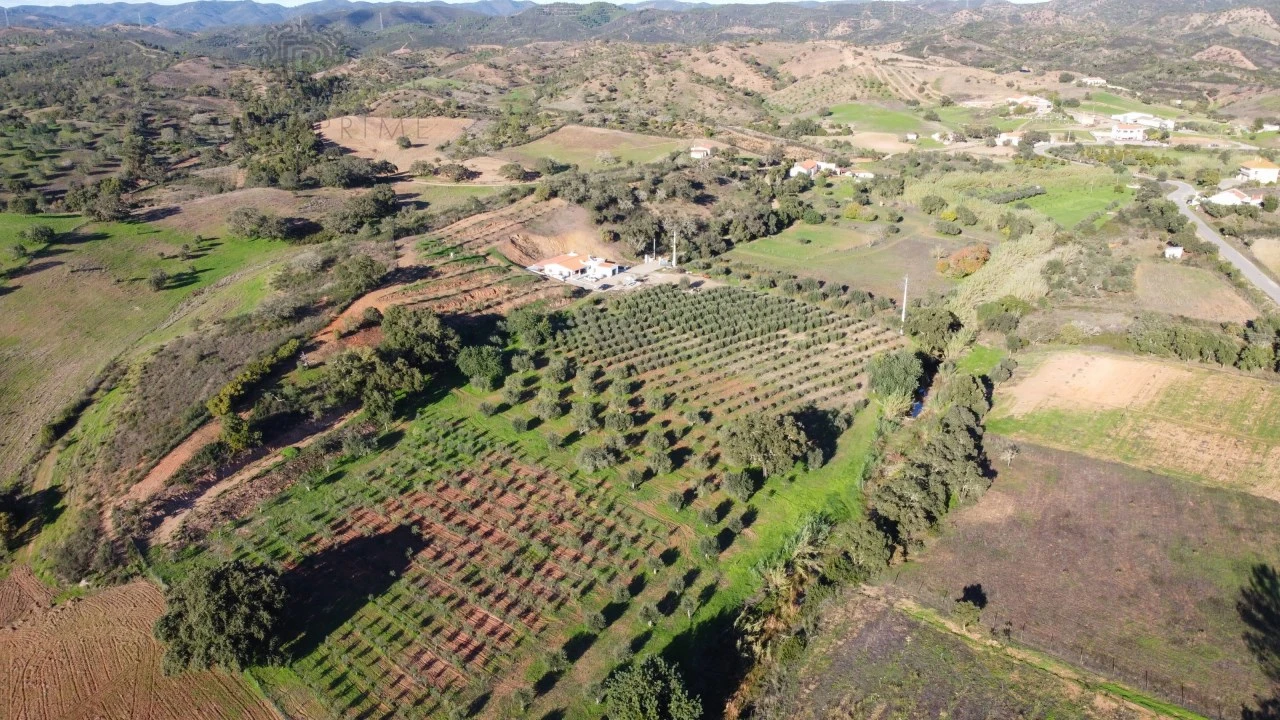 Quinta T1 para Venda em São Bartolomeu de Messines Foto 8