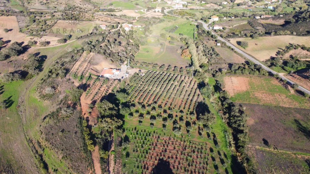 Quinta T1 para Venda em São Bartolomeu de Messines Foto 11