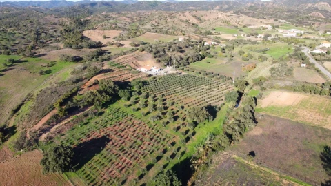 Quinta T1 para Venda em São Bartolomeu de Messines