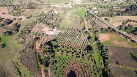 Quinta T1 para Venda em São Bartolomeu de Messines
