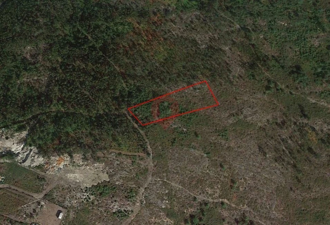 Terreno para Venda em Barbeita Foto 1