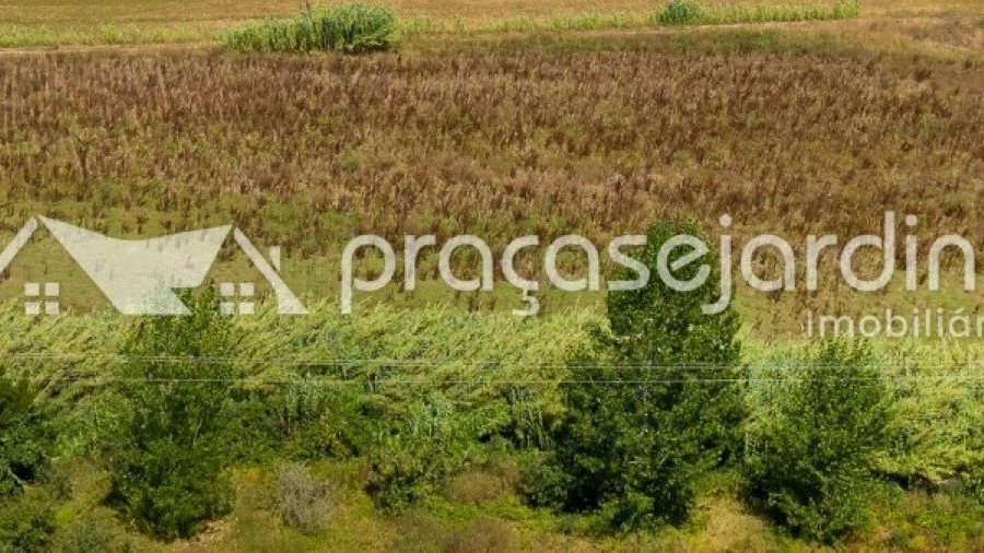 Terreno para Venda em Marrazes e Barosa