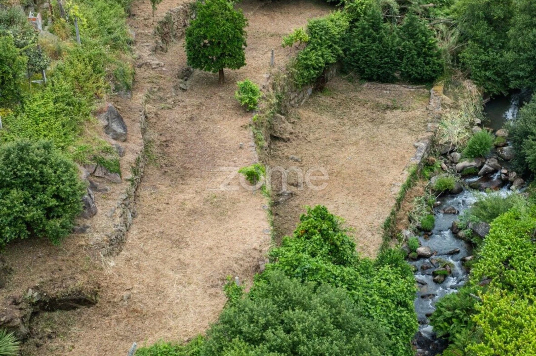Quinta T4 para Venda em Santa Maria de Sardoura Foto 28