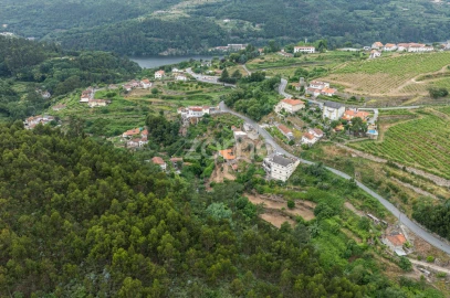 Quinta T4 para Venda em Santa Maria de Sardoura