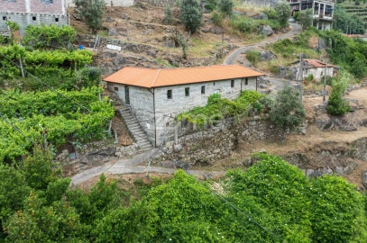 Quinta T4 para Venda em Santa Maria de Sardoura