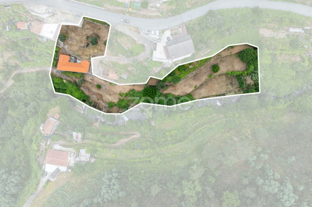 Quinta T4 para Venda em Santa Maria de Sardoura Foto 30