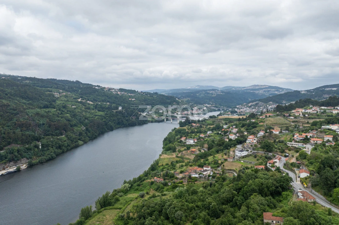 Quinta T4 para Venda em Santa Maria de Sardoura Foto 5