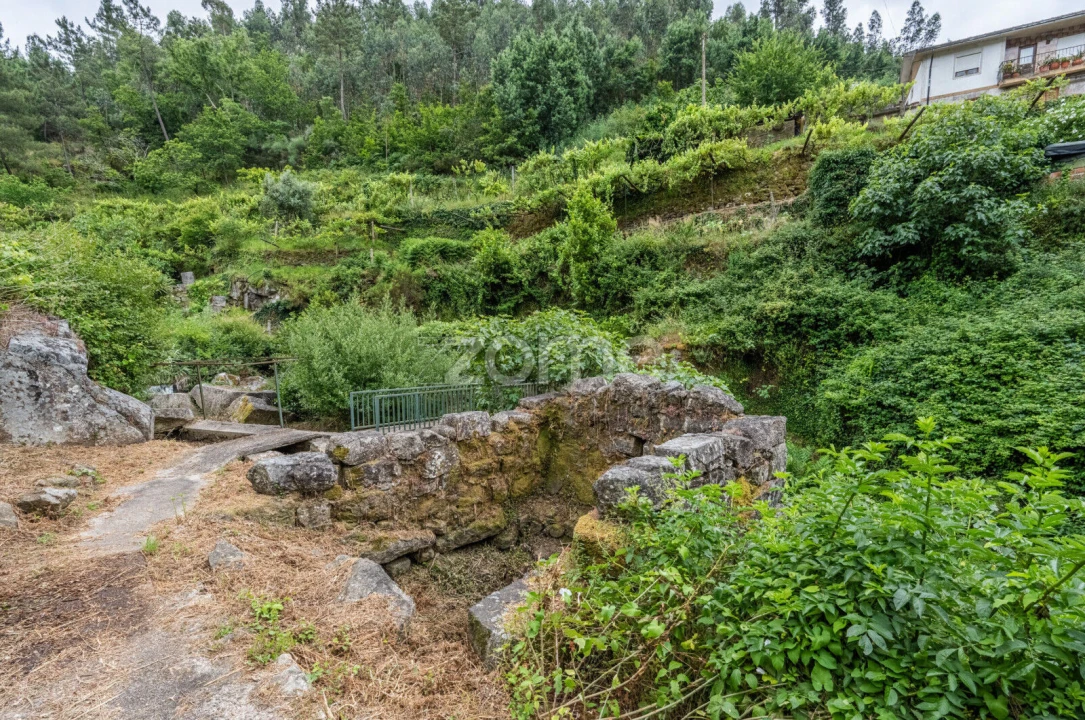 Quinta T4 para Venda em Santa Maria de Sardoura Foto 26