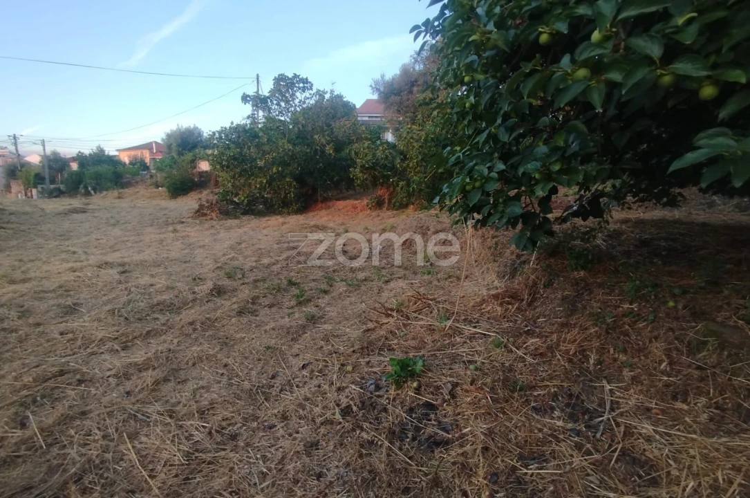 Terreno para Venda em Rio de Loba Foto 30