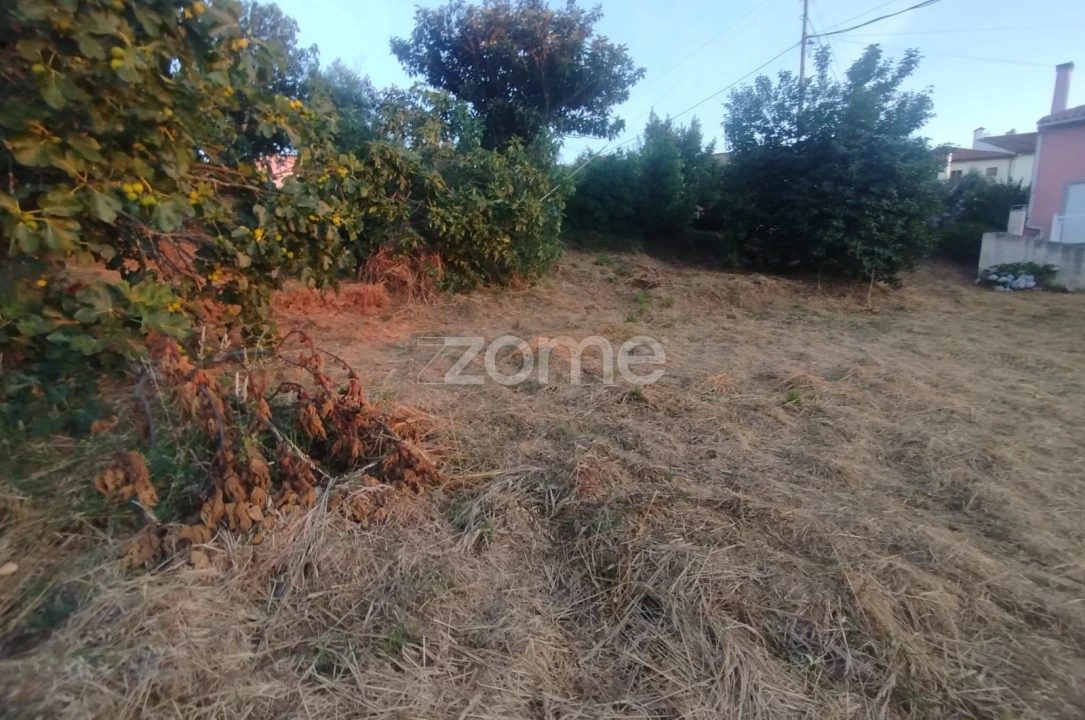 Terreno para Venda em Rio de Loba Foto 27