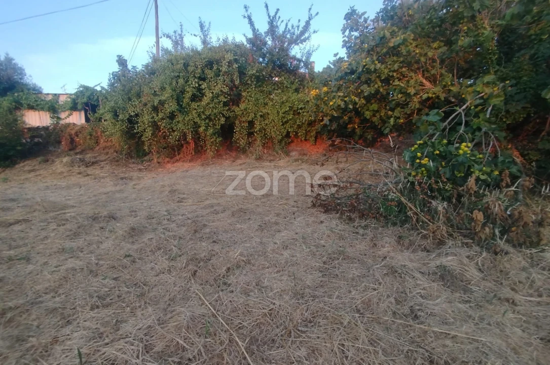 Terreno para Venda em Rio de Loba Foto 25