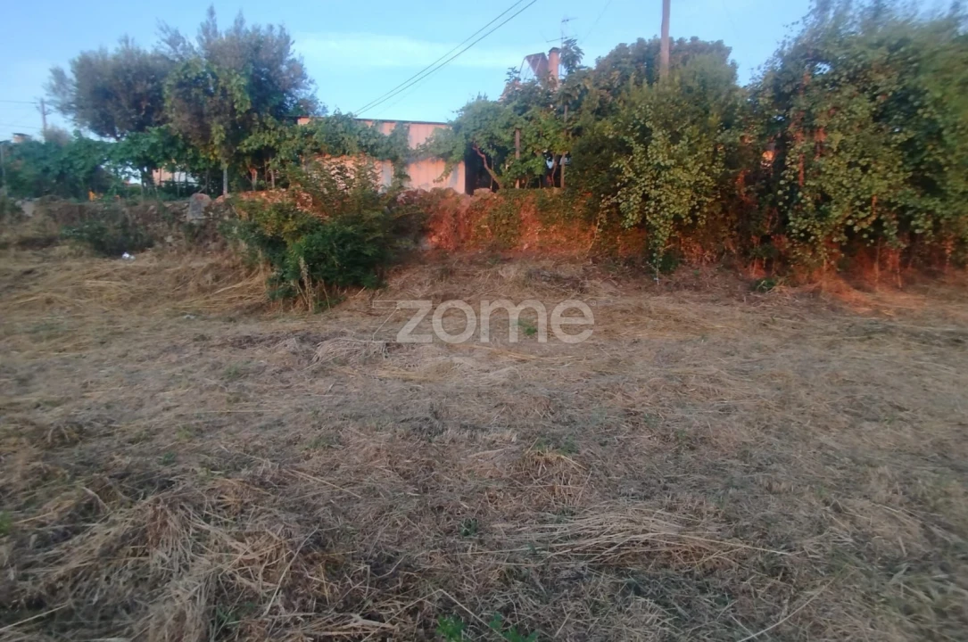 Terreno para Venda em Rio de Loba Foto 21