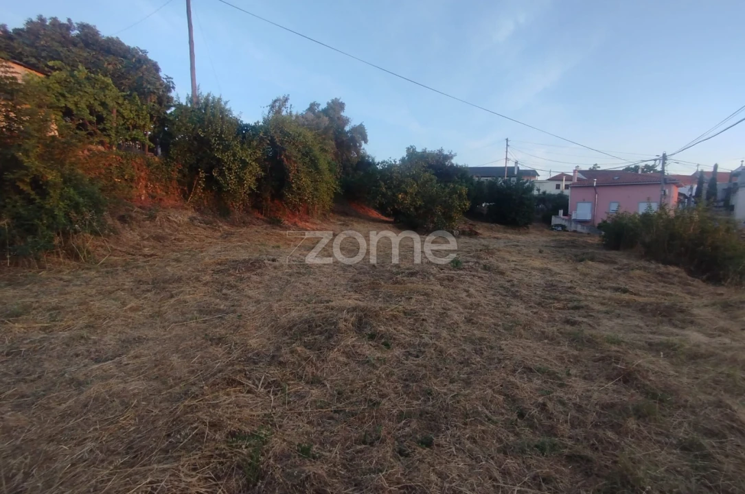 Terreno para Venda em Rio de Loba Foto 17