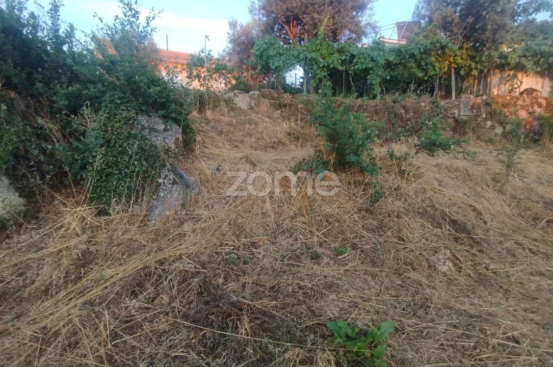 Terreno para Venda em Rio de Loba Foto 14