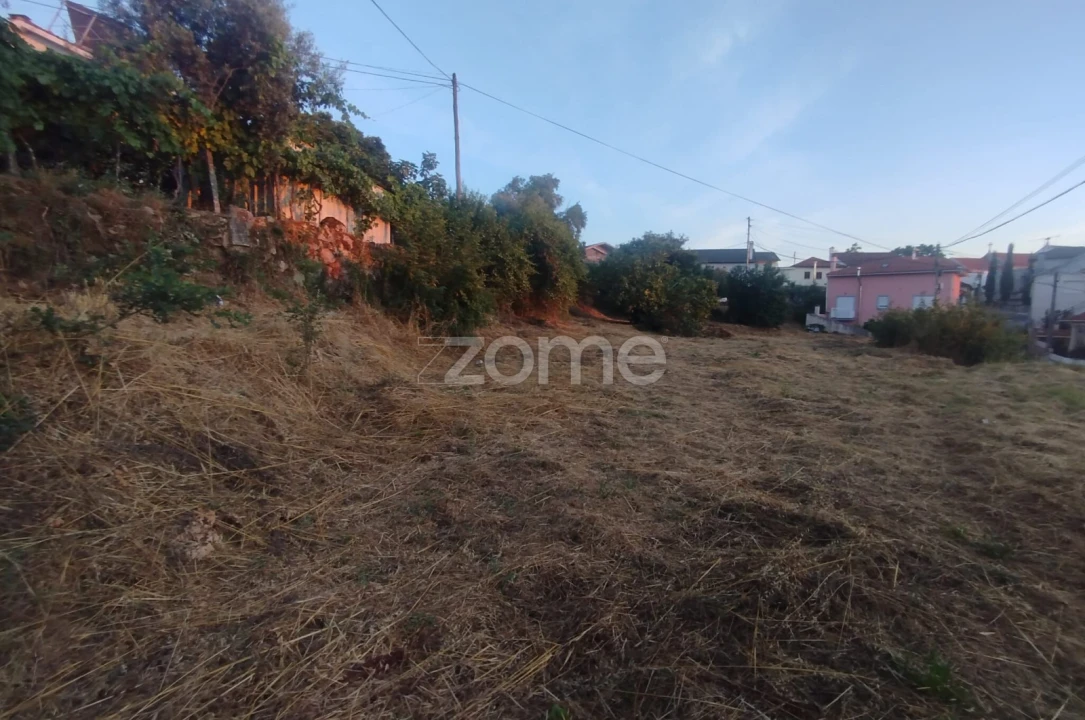 Terreno para Venda em Rio de Loba Foto 13