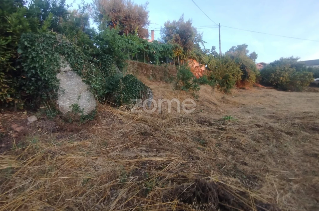 Terreno para Venda em Rio de Loba Foto 8