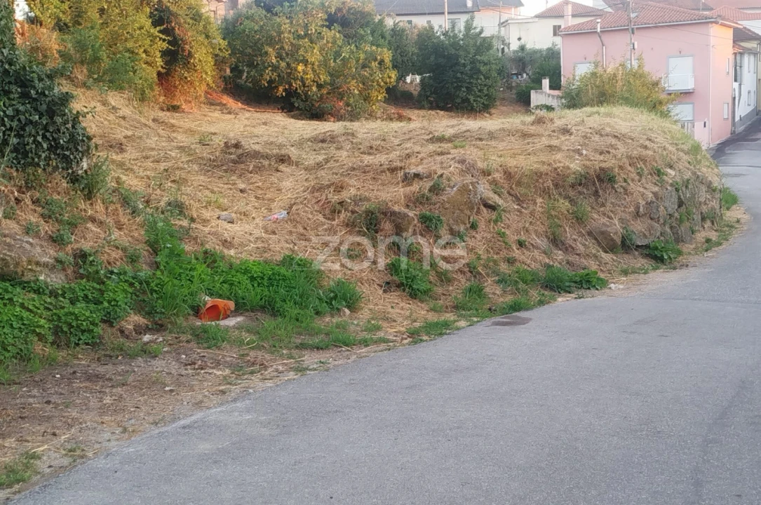 Terreno para Venda em Rio de Loba Foto 3